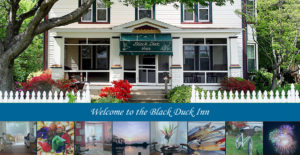 The Black Duck Inn